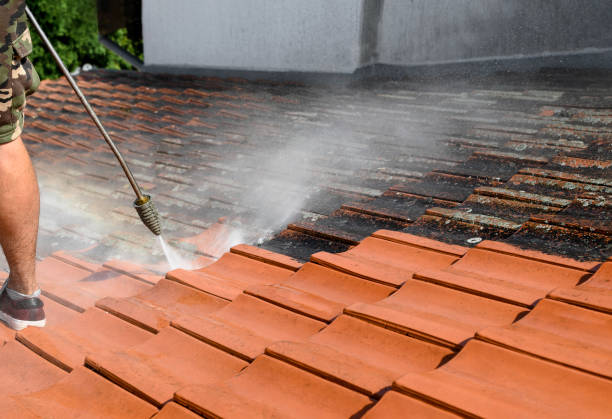 Best House Pressure Washing  in Constantine, MI