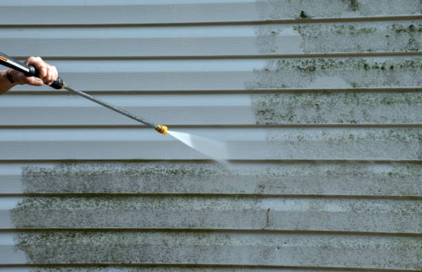 Best Residential Pressure Washing Services  in Constantine, MI