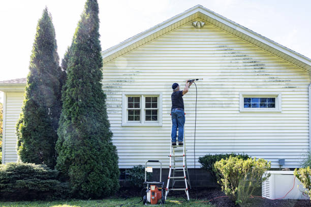 Best Deck Cleaning Services  in Constantine, MI