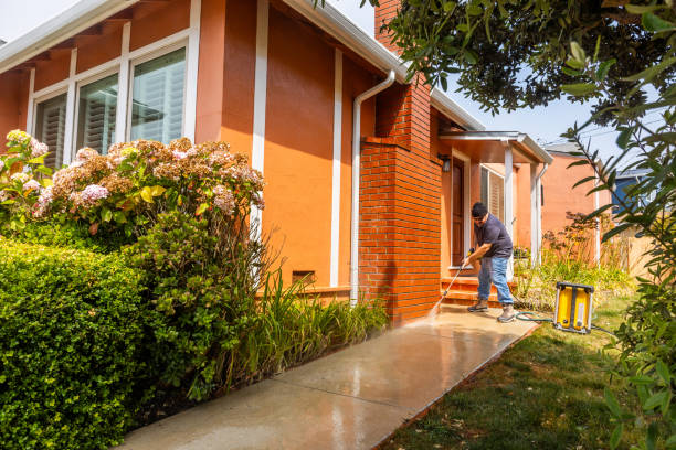 Best Affordable Power Washing  in Constantine, MI