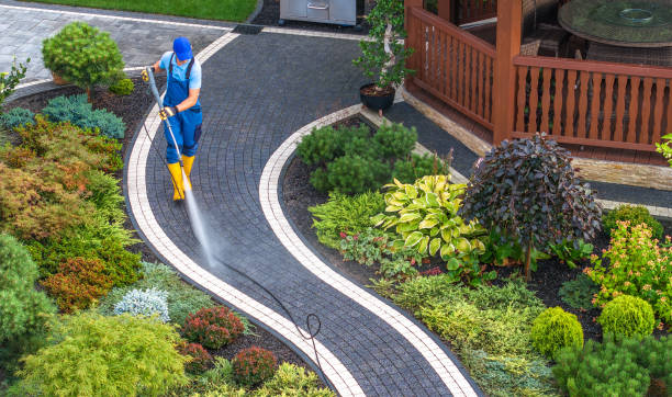 Best Local Pressure Washing Services  in Constantine, MI